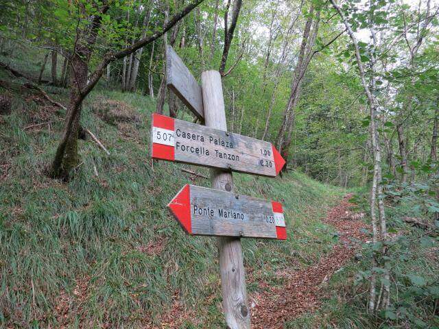 Sentiero Attrezzato Marino Guardiano – Monte Pelf - foto 42