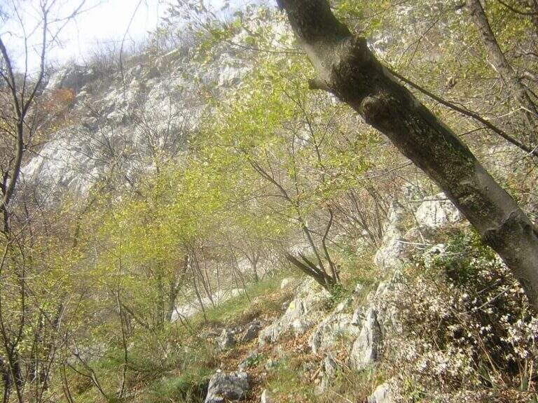 Sentiero Attrezzato della Vergella al Monte San Martino - foto 7