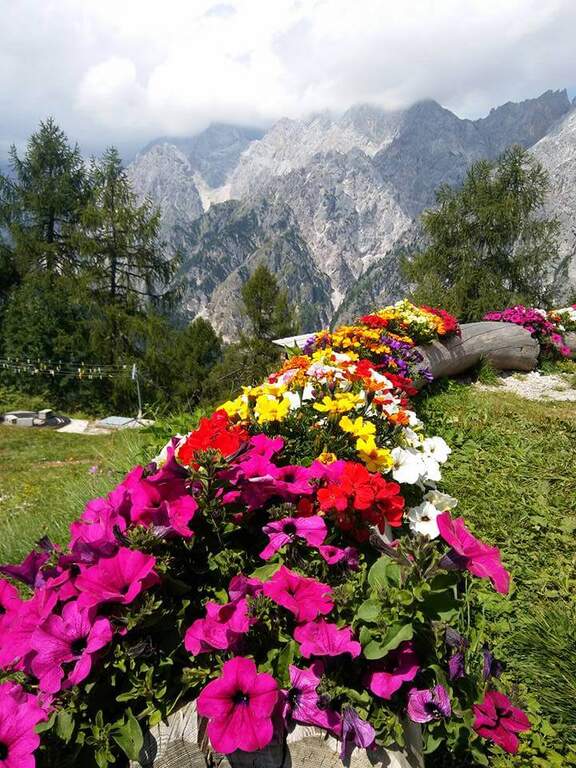 Sentiero Attrezzato degli Alpini a Forcella Jau Tana - foto 25