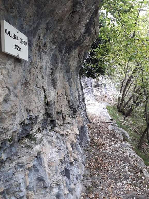 Sentiero Attrezzato Pierino dalla Zuanna – Monte Pubel - foto 14