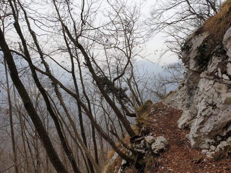 Sentiero Attrezzato Pierino dalla Zuanna – Monte Pubel - foto 16