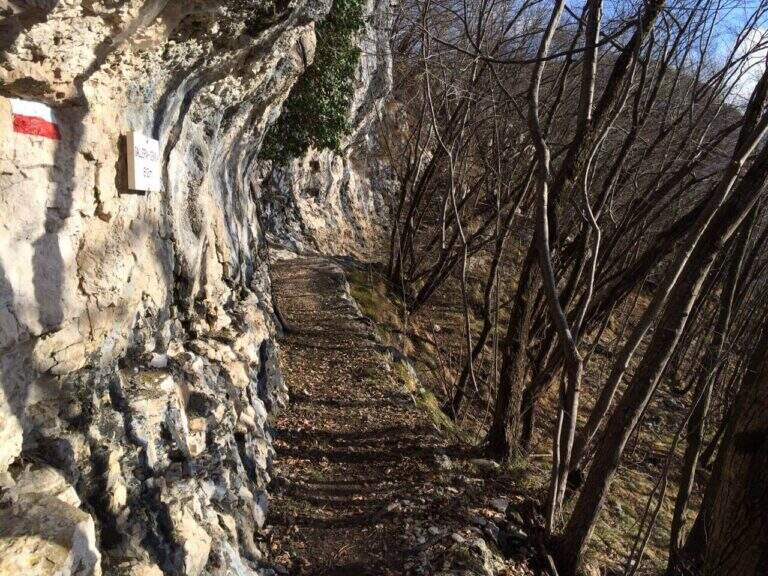 Sentiero Attrezzato Pierino dalla Zuanna – Monte Pubel - foto 35