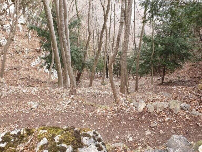 Sentiero Attrezzato Pierino dalla Zuanna – Monte Pubel - foto 26