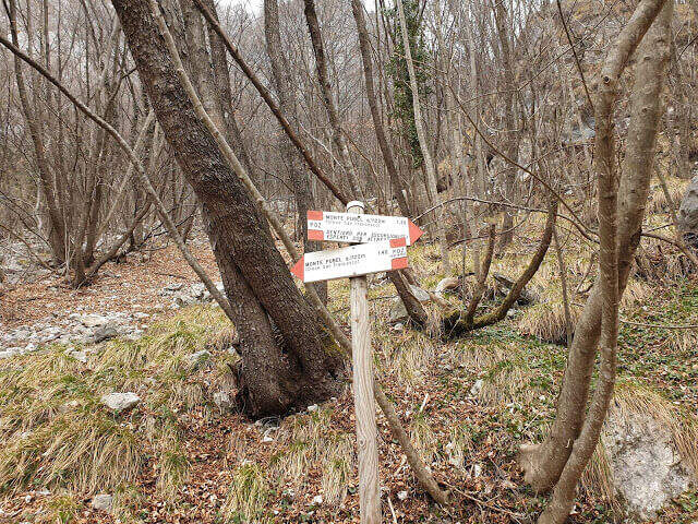 Sentiero Attrezzato Pierino dalla Zuanna – Monte Pubel - foto 13