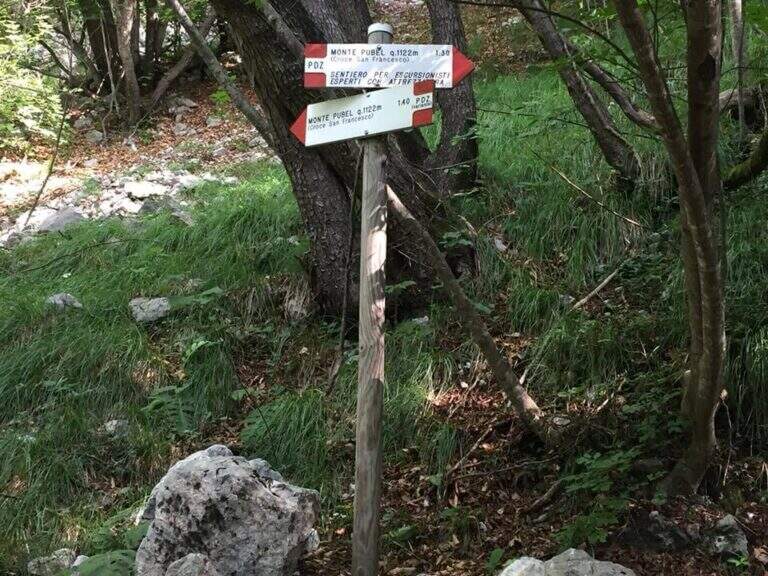 Sentiero Attrezzato Pierino dalla Zuanna – Monte Pubel - foto 12