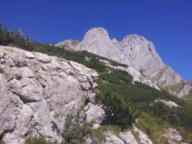 Ferrata Senza Confini (Cellon) - foto 13