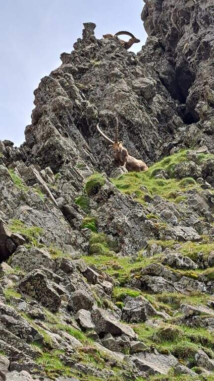 Ferrata Paolin Piccolin a Cima d'Auta Orientale - foto 26