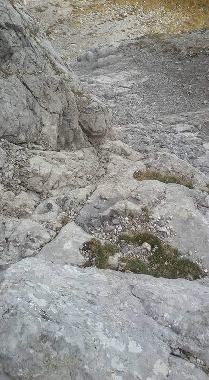 Ferrata Contin al Monte Cavallo - foto 34