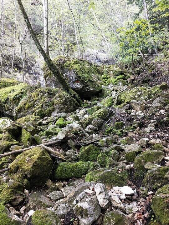 Ferrata di Valimpach - foto 12